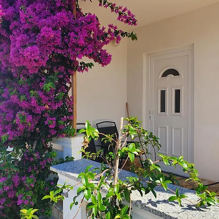 Apartamento Anja Vir